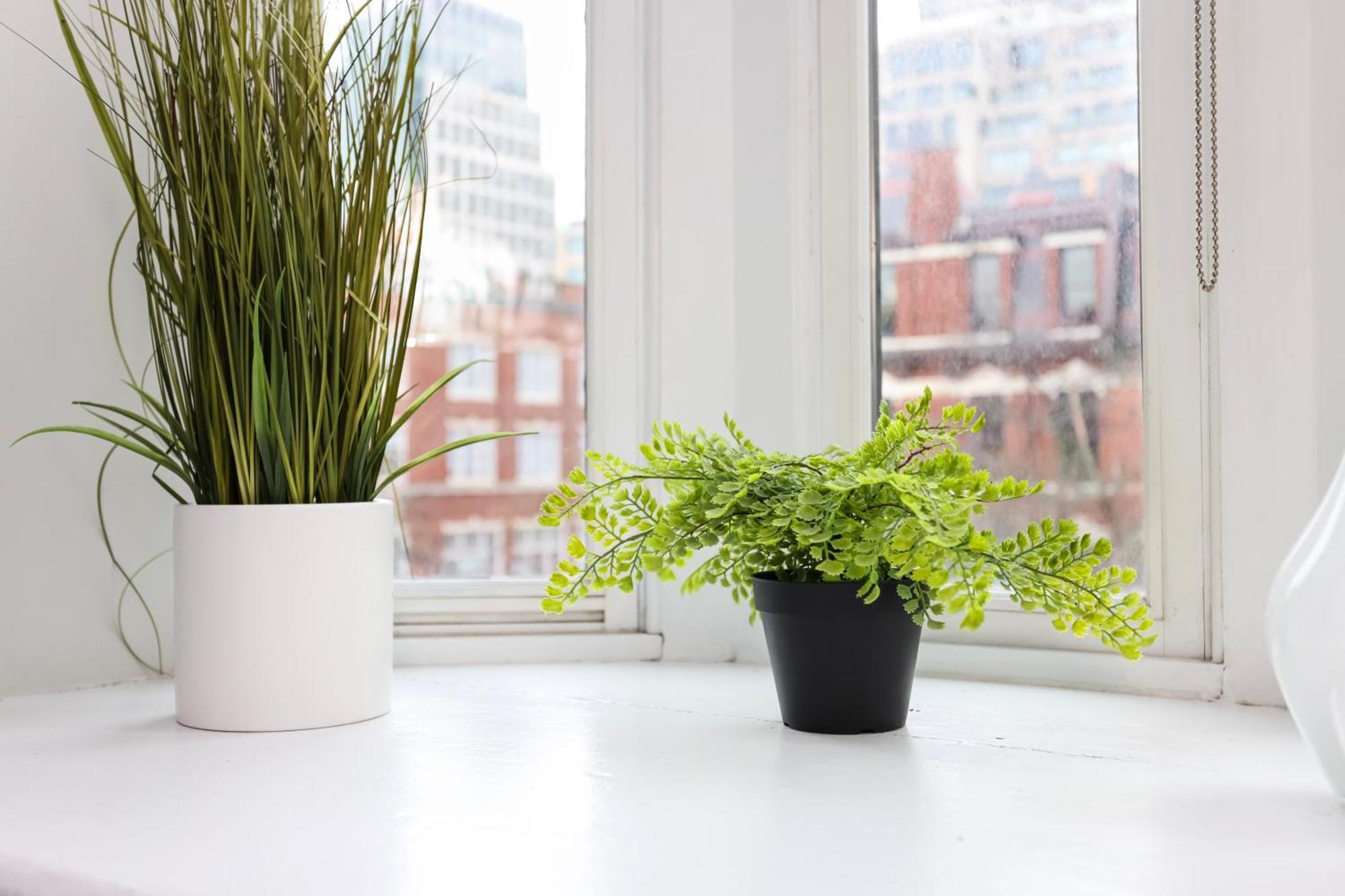 Stylish Studio On Newbury St #3 Бостон Екстер'єр фото